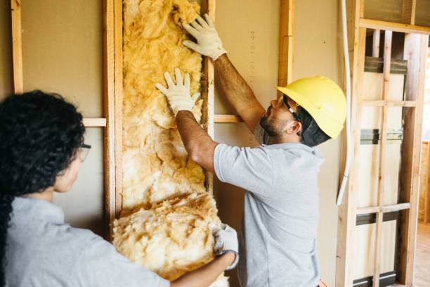 Best Radiant Barrier Insulation  in Greenbriar, FL